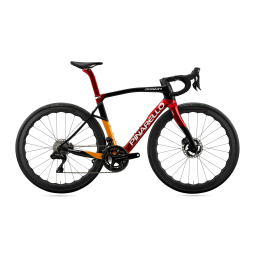 ROWER PINARELLO DOGMA X