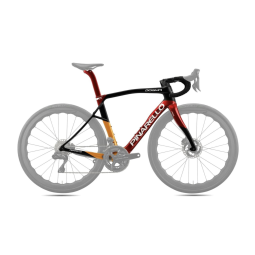 FRAMESET PINARELLO DOGMA X